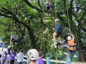 基市森林快閃遊戲場 一起攀樹趣