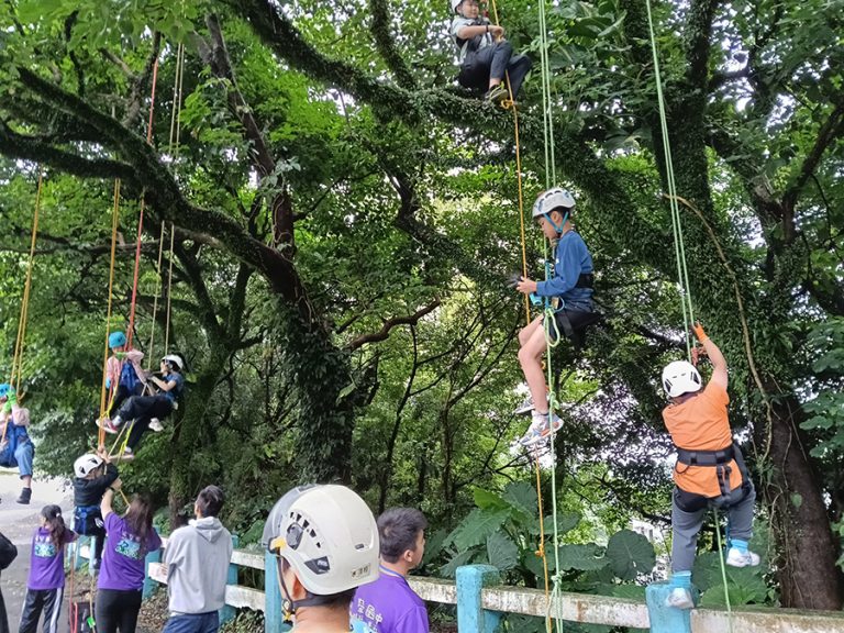 基市森林快閃遊戲場 一起攀樹趣