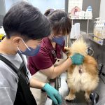 虎尾就業中心職場體驗萌出新職涯