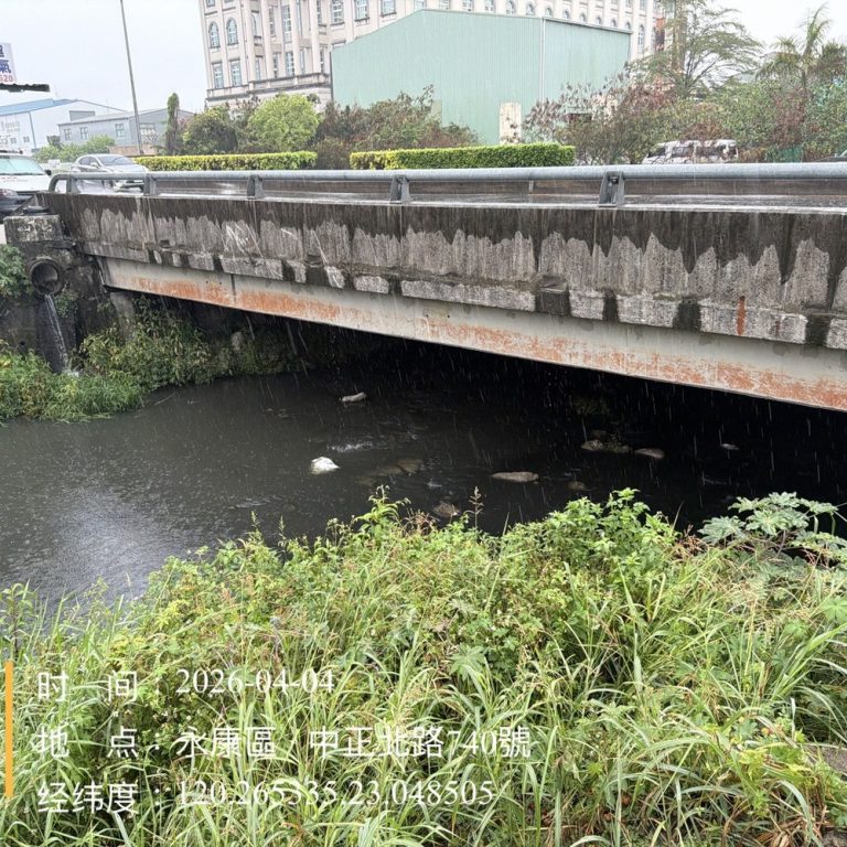 永康大量魚隻死亡 水利局迅速打撈