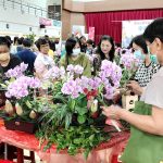 西屯區公所舉辦花藝推廣活動