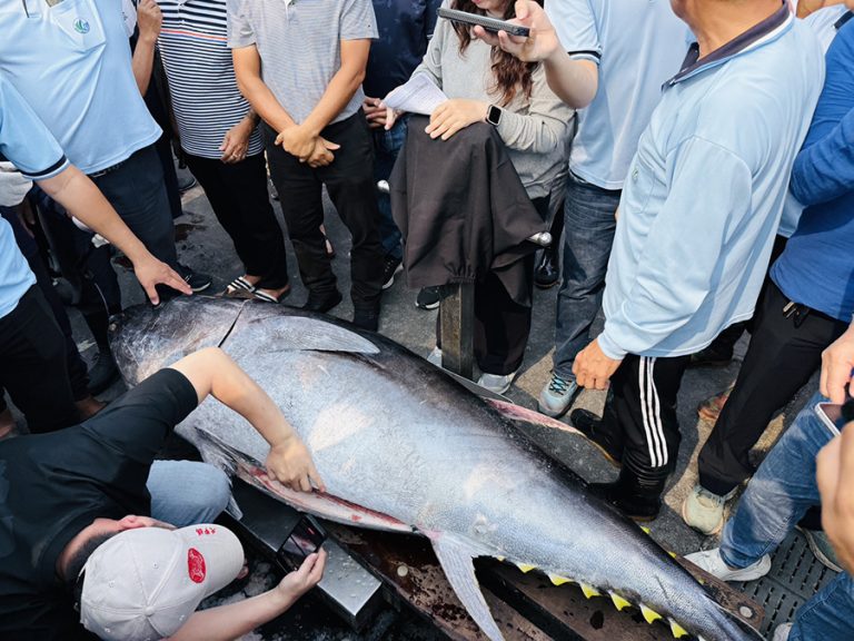 討海50年圓夢 洪福家奪東港第一鮪揭幕