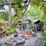 嘉縣推薦山林旅行 體驗深度賞螢之旅