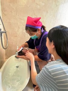 高市全國首創坐月子到宅服務 接軌產後照顧足感心