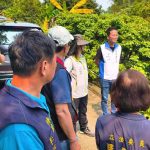 南投糯米荔枝 災損納現金救助