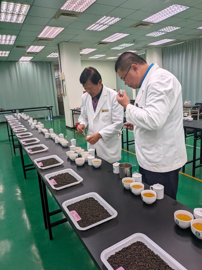 鹿谷鄉農會春茶賽成績出爐