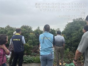 乾旱害歉收 彰化荔枝可申請現金救助