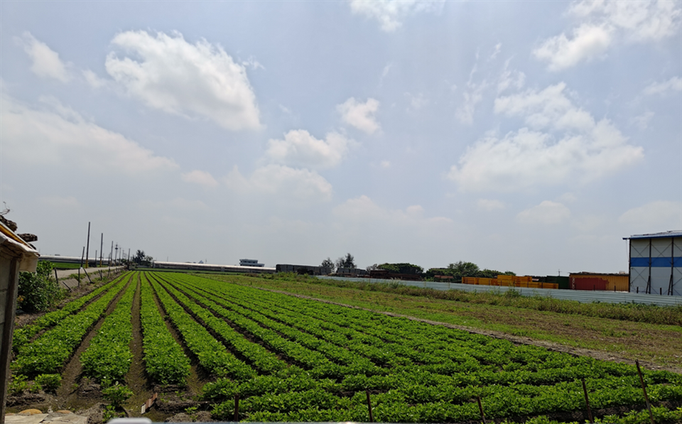 彰化縣農地重劃區抵費地5月29日開標 歡迎踴躍投標