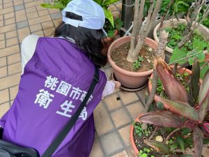 防範登革熱 6月起查獲孳生孑孓 最高罰1.5萬