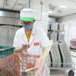 基隆午餐可溯源食材 使用率全國第二