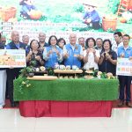 造橋南瓜節6月登場 夢幻湖畔超吸睛