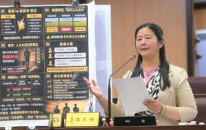 桃市議員陳美梅市政總質詢 要求補齊重劃區基礎建設