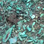 周永鴻批市府擺爛讓中捷藍線龍井機廠用地堆滿廢棄物