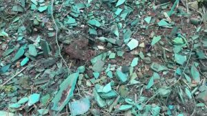 周永鴻批市府擺爛讓中捷藍線龍井機廠用地堆滿廢棄物