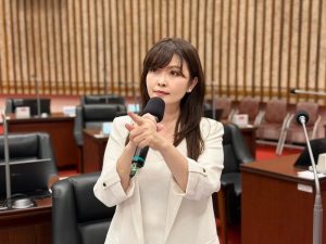 爭取高雄24小時國際機場 陳美雅展現高度前瞻性 呼籲中央與市府不應紙上談兵