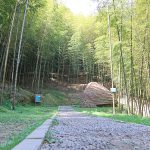 雲林草嶺石壁竹林獲FSC國際認證