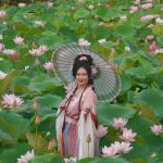 中社觀光花市 荷舞漫波花嬌人艷