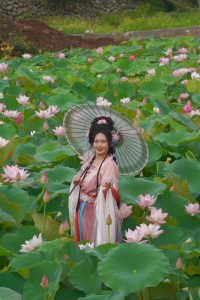 中社觀光花市 荷舞漫波花嬌人艷