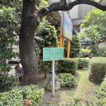市府戮力推動閒置空地綠美化 讓綠意走入鄰里
