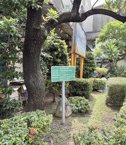市府戮力推動閒置空地綠美化 讓綠意走入鄰里