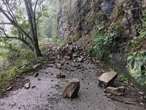郡大林道將復通入山仍須注意安全