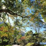 奧萬大32歲生日 7月1日至5日十元入園