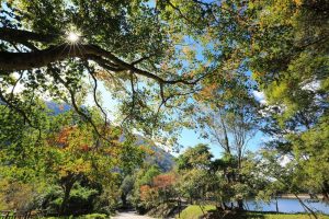 奧萬大32歲生日 7月1日至5日十元入園