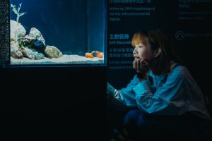 台中海洋館暑期特展「海洋幻術師」登場