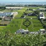 外埔彩繪稻田「台中領鮮」吸睛