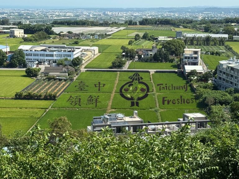 外埔彩繪稻田「台中領鮮」吸睛