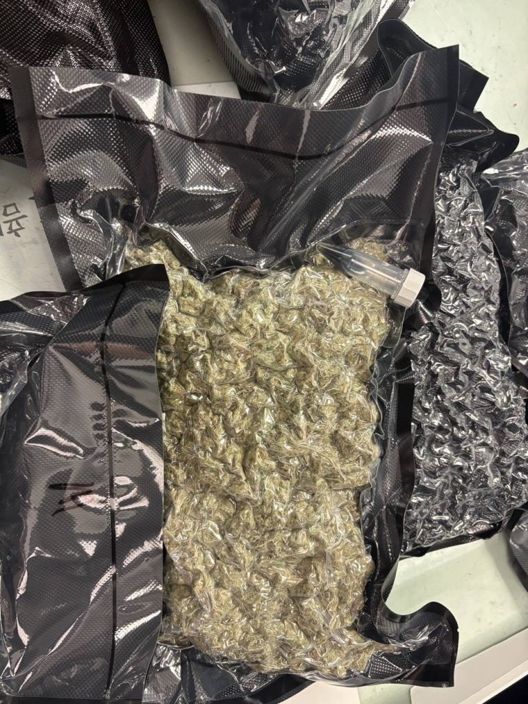 檢調海關攔阻近億元大麻 起訴二人