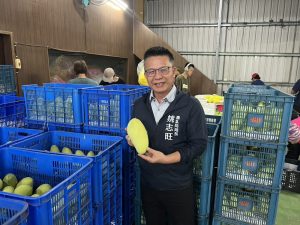 逾3噸六龜金煌芒果 裝櫃啟運新加坡