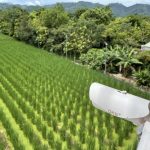 防趁夜偷燒稻草躲查緝 南投導入AI全天候監控