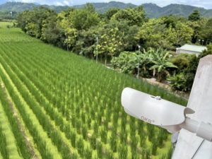 防趁夜偷燒稻草躲查緝 南投導入AI全天候監控