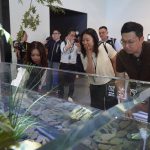 中市府攜手全球城市旅遊發展組織及韓國主流媒體深度踩線