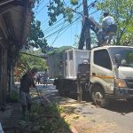 基市中山區通明街土石崩落 危險樹木提前修剪