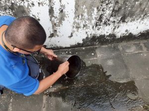 守護健康家園  嘉義市環保局呼籲落實「巡、倒、清、刷」