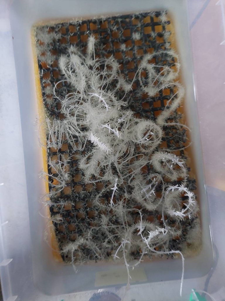 攔截破億製毒工廠 桃檢起訴求重刑