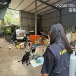 飼主放養犬隻肇事遭重罰5萬3千元並法辦