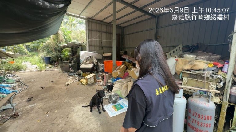 飼主放養犬隻肇事遭重罰5萬3千元並法辦