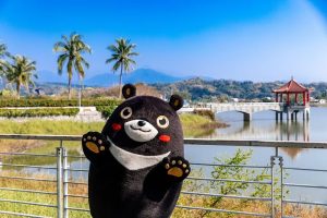 東高雄最Chill夏日盛會登場 「野趣東高雄」2.0旗山開唱 預購市集券現賺百元