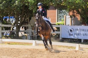 首屆國際馬術節 推廣馬術運動