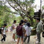 2026礦山藝術季文化行旅 即起開放報名