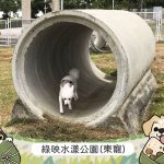 端午連假帶毛孩「放粽」趣　嘉義市兩座寵物公園陪毛孩開心放電