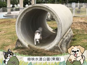端午連假帶毛孩「放粽」趣　嘉義市兩座寵物公園陪毛孩開心放電