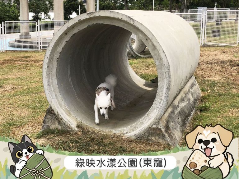 端午連假帶毛孩「放粽」趣　嘉義市兩座寵物公園陪毛孩開心放電