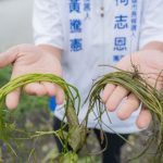 美濃水蓮農損 藍綠攻防 柯志恩競辦批勿再政治操作
