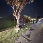 疑似毒駕自撞路樹翻車釀2死1傷