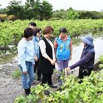 豪雨重創彰化農作 王惠美現勘溪州芭樂農損