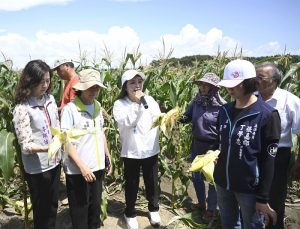 豪雨重創玉米產區 張嘉郡籲農民速通報爭取救助
